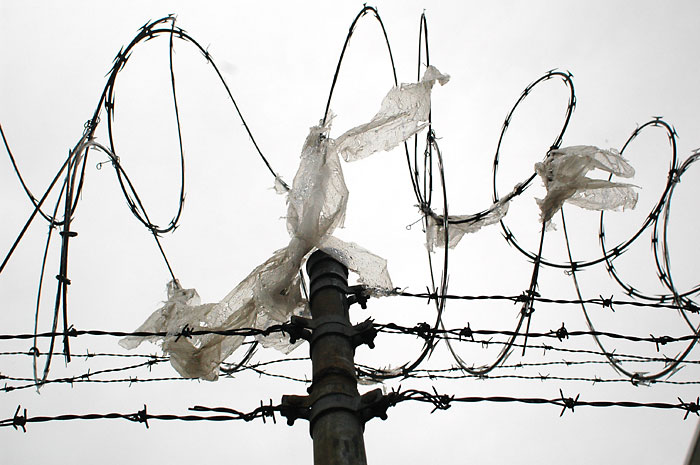 fredhatt-tangle-3 Tangle 3, 2005, photo by Fred Hatt