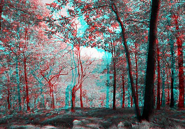 Hilltop, 1993, stereo photo by Fred Hatt