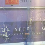 fredhatt-2007-your-spirit-guide-jan