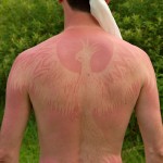 fredhatt-2009-phoenix-burn