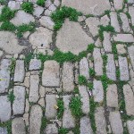 fredhatt-2002-cobblestone-grass