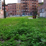 fredhatt-2002-vacant-lot