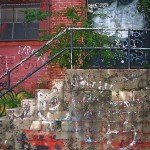 fredhatt-2003-weeds-on-stairs