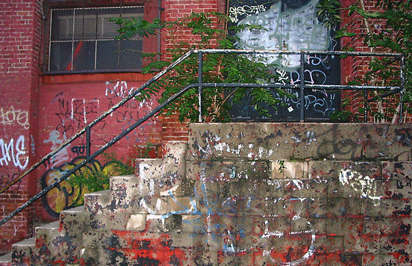 fredhatt-2003-weeds-on-stairs Weeds on Stairs, 2003, photo by Fred Hatt