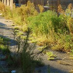 fredhatt-2004-sidewalk-reclaimed