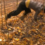 fredhatt-jungwoongkim-November-01