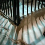 fredhatt-2003-snow-shadows