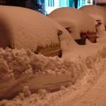 fredhatt-2006-buried-cars