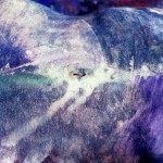 fredhatt-1991-marbled-belly Marbled Belly, 1991, bodypaint and photo by Fred Hatt
