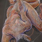 fredhatt-2003-ankle-grasp