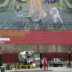 fredhatt-2004-princess-pups