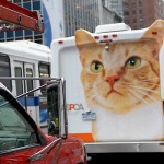 fredhatt-2007-cat-truck