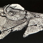 la-madeleine-bison