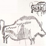 trois-freres-marked-bison