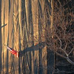 fredhatt-2005-sunset-flag