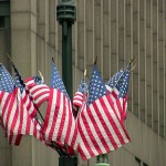 fredhatt-2008-flag-cluster