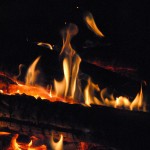fredhatt-2009-feminine-flame