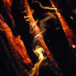 fredhatt-2009-licking-flames