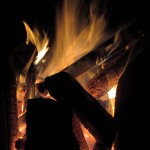 fredhatt-2010-architecture-of-fire