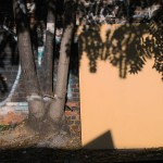fredhatt-2010-10-shadowscreen