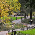fredhatt-2010-11-s-curve