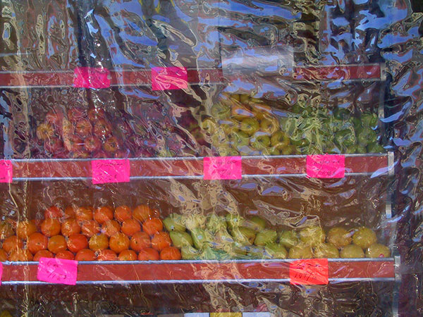 fredhatt-2001-winter-fruit
