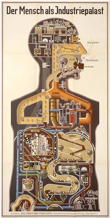 anatomy-chart-german-funny-9v@