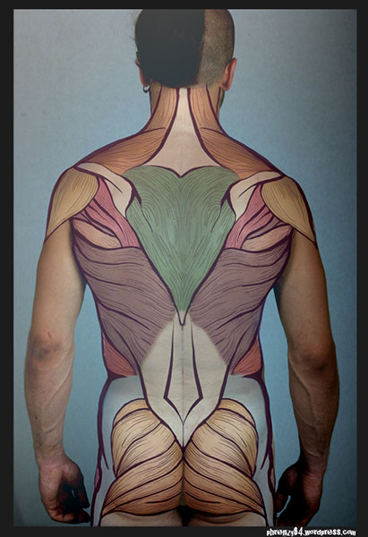 ecorche_01
