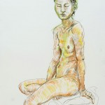 fredhatt-2012-fine-lines