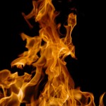 fredhatt-firesprite-2006