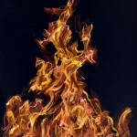fredhatt-firesprite-negative-painting-2012-inverted