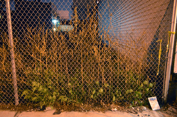 fredhatt-2012-chainlink-fence
