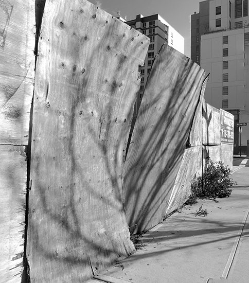 fredhatt-2012-concave-plywood