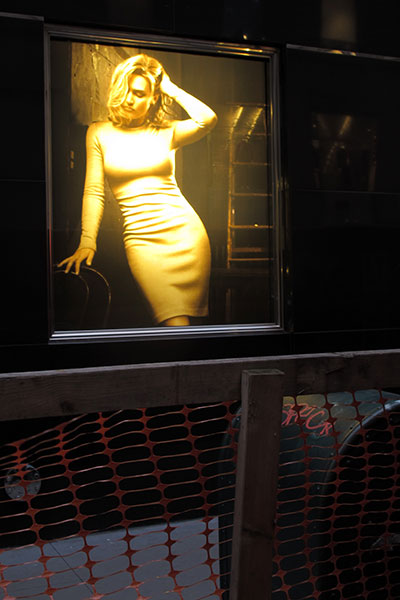 fredhatt-2012-golden-female