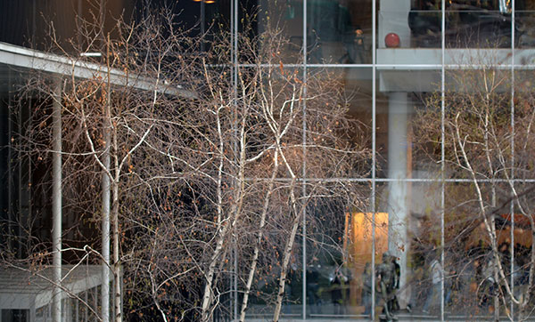 fredhatt-2012-moma-garden-winter