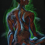 fredhatt-2012-touch-of-light