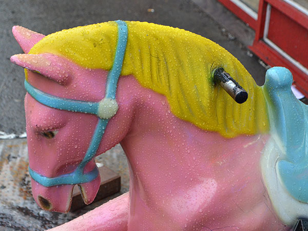 fredhatt-2012-wet-horsehead