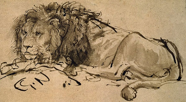 Rembrandt-A-Lion-Lying-Down-207063_detail